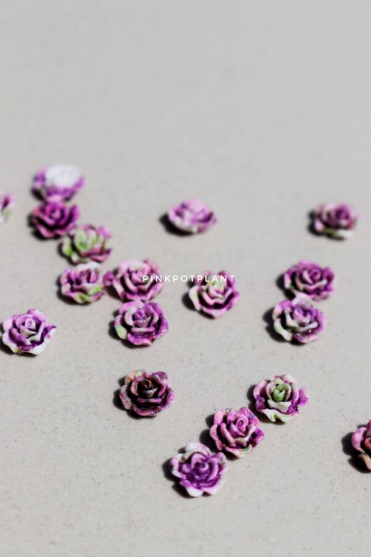 Aplique Decoracion Rositas x20u - ISSI Supplies - Solo en Pink Pot Plant