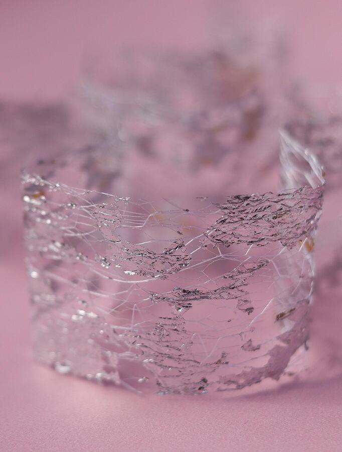 Foil ORO/PLATA F21 - Solo en Pink Pot Plant