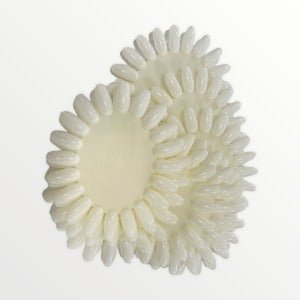 Muestrario Redondo -  Solo en Pink Pot Plant