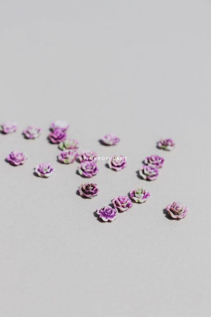 Aplique Decoracion Rositas x20u - ISSI Supplies -  Solo en Pink Pot Plant 