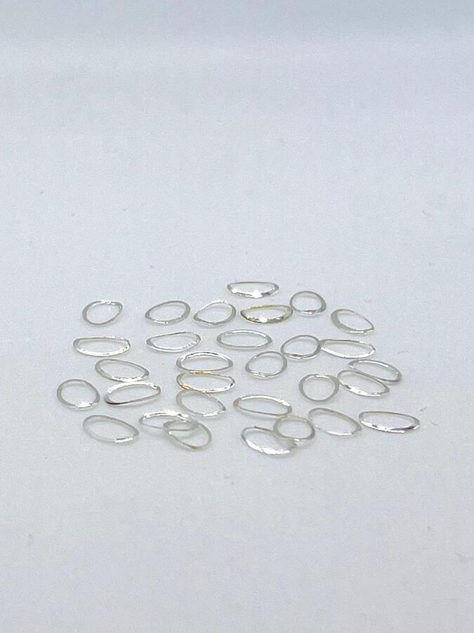 Joyas de Metal Ovalada Chica Plateada -  Solo en Pink Pot Plant 