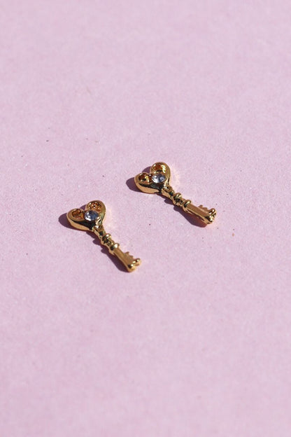 Aplique Joya LLAVE -  Solo en Pink Pot Plant 