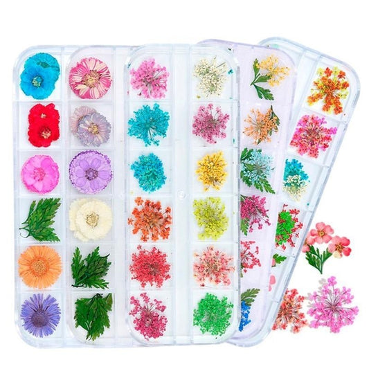 Flores Secas -  Solo en Pink Pot Plant 