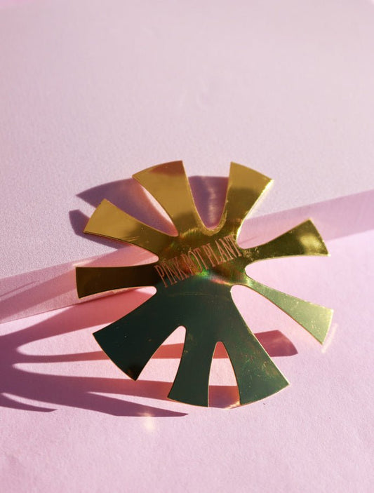 Francesa Reversa -  Solo en Pink Pot Plant 